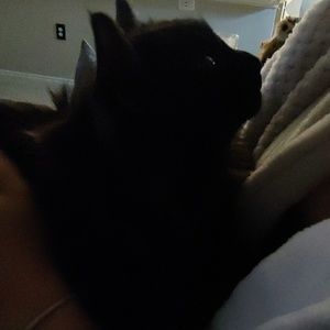 Meet your Posher, Kalyn